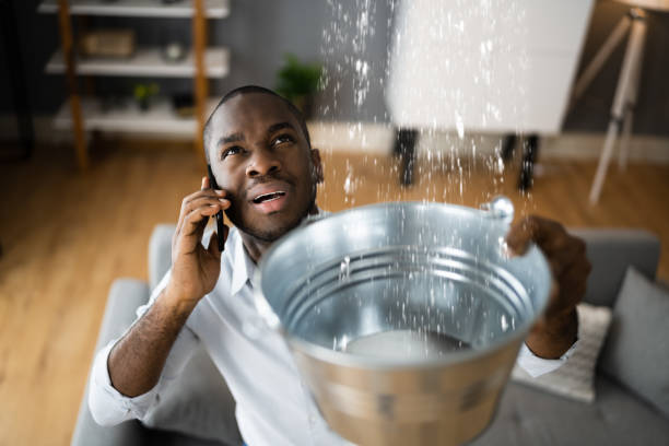 Best Ceiling water damage repair  in Elkton, VA