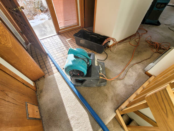 Reliable Elkton, VA Water damage restoration Solutions