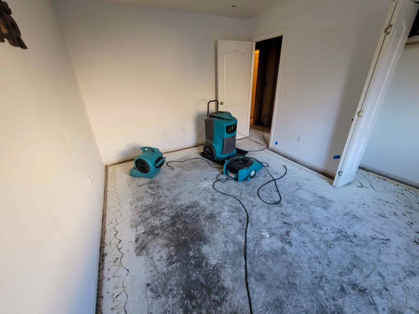 Best Commercial water damage restoration  in Elkton, VA