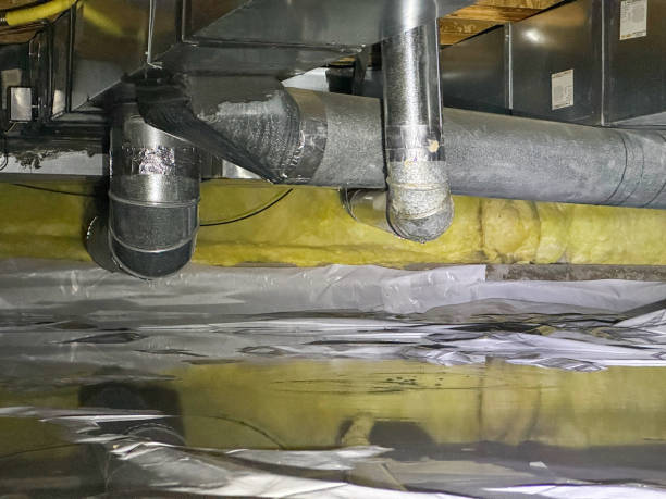 Best Water damage restoration mold remediation  in Elkton, VA