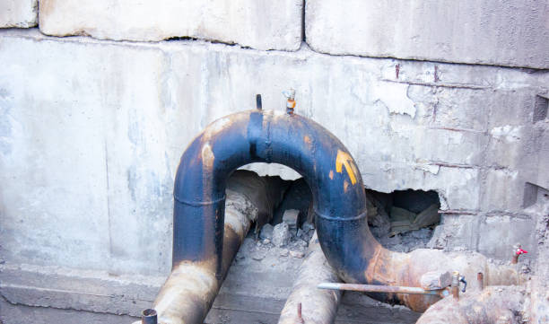 Best Residential water damage restoration  in Elkton, VA